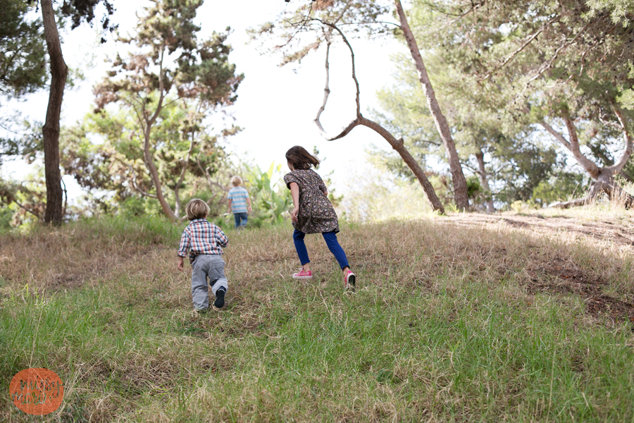 111713_Baumhauer_5007blog