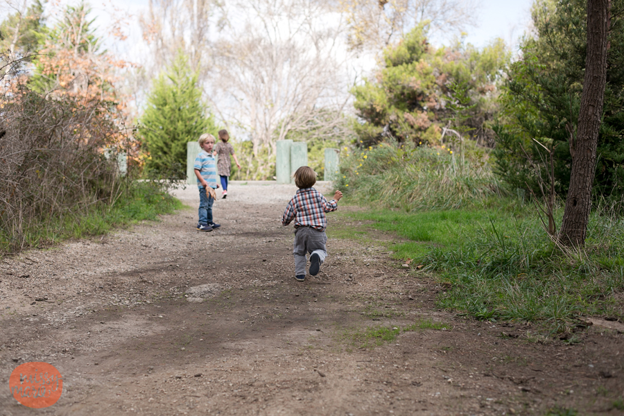 111713_Baumhauer_5117blog