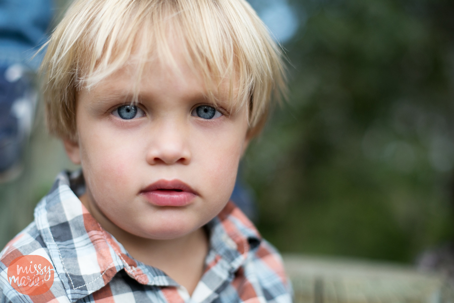 111713_Baumhauer_5143blog