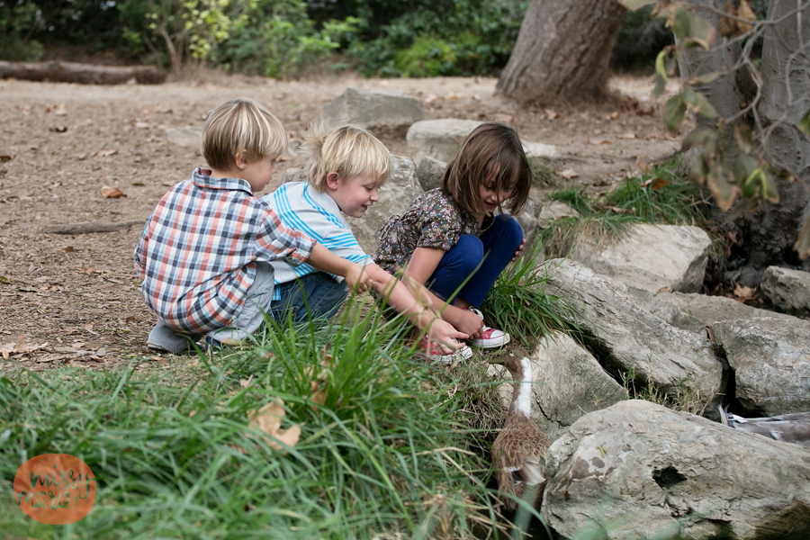 111713_Baumhauer_5251blog