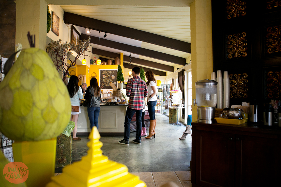 111713_Rapone_4744blog