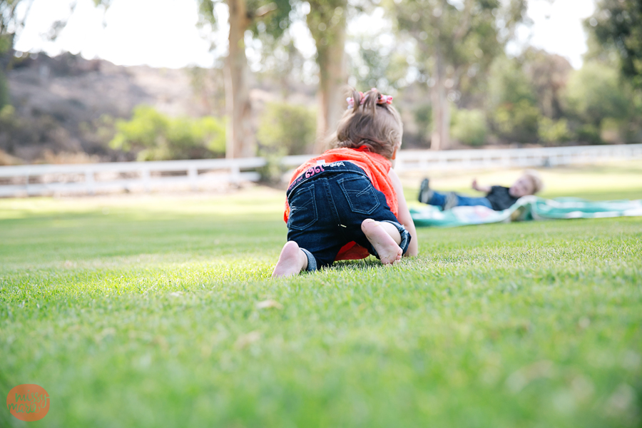 071814_Hanss_9657blog