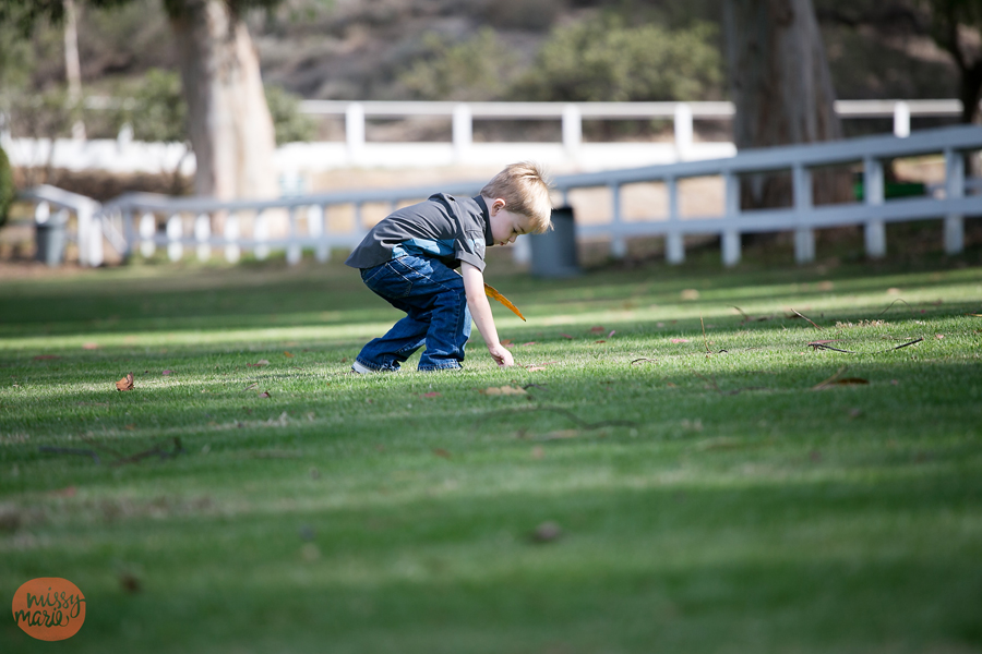 071814_Hanss_9675blog