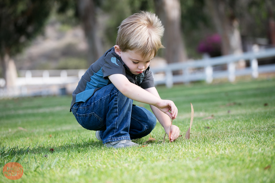 071814_Hanss_9701blog