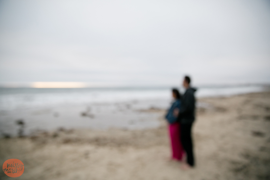 0614_Ehrlich_0207blog