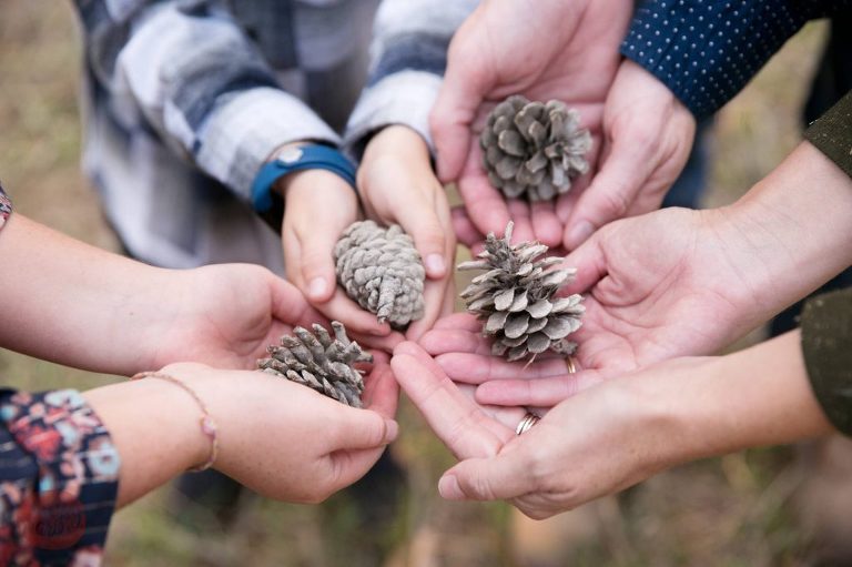 family holding pine cones at family photo session